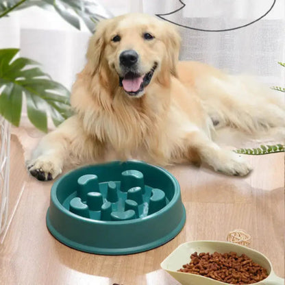 Slow Feed Dog Puzzle Bowl